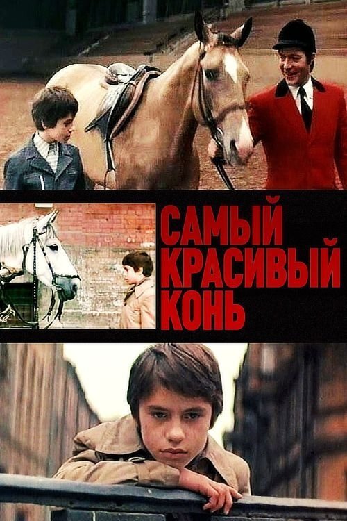 Постер Самый красивый конь